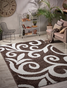 Shaggy Carpets 