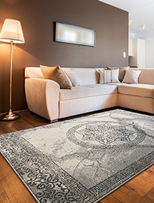 Living Room/Bedroom